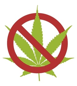 No Cannibus Icon SQUARE